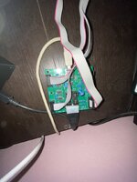 IMG_6574.jpg