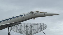 IMG_7708.jpeg