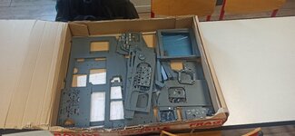 IMG_20250218_161748.jpg
