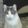 Major-Tom