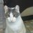 Major-Tom